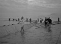 地引き網漁＝荒尾海岸