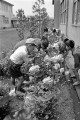 花の手入れをする子どもたち＝熊本市の託麻原小学校