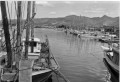 鹿児島県出水市名古のうたせ網漁船群（水俣病関連）