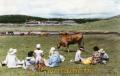 ピクニック＝阿蘇草千里。赤牛が放牧された、草原で家族連れがお弁当を広げて
