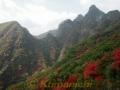 紅葉が見ごろを迎えた根子岳の大戸尾根ルート１２５０メートル付近＝高森町