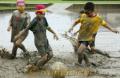 児童が田んぼで泥遊び＝熊本市