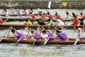 伝統の競り舟大会で懸命にかいをこぐ選手たち＝水俣市