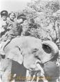 昭和初期　象のエリーと子どもたち＝熊本市の水前寺動物園　※写真集・熊本１
