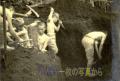 昭和19年夏　運動場での防空壕掘り作業をする子どもたち＝玉名郡梅林村高等