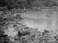 04６・２６熊本大水害　漂流物などで荒れた水前寺公園＝熊本市出水町