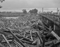 04６・２６熊本大水害　子飼橋に打ち寄せられた大量の流木＝熊本市子飼町