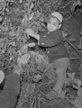 ”冬の呼鈴”アケビを採る子ども＝阿蘇郡波野村