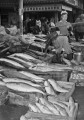 魚市場にズラリ並んだ正月用ブリ＝熊本市新町
