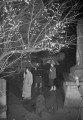 暖かい大寒入り、手取神社境内＝熊本市手取本町