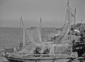 春の構図　イカ釣り船の網干し＝天草下島の北海岸