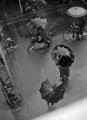 春雨にむせぶ街　上通入り口付近＝熊本市上通町の熊日本社屋上か