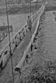あれから1年、増水した急流に揺れる応急の吊り橋＝菊池郡津田村川久保