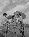 久しぶりに青空、街角の風鈴屋さん＝熊本市西通町