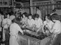 アルバイト　清涼飲料水のビン詰め＝熊本市内