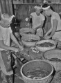 土用ウナギ・調理＝熊本市内
