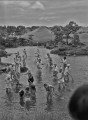 水前寺成趣園の泉水さらえ＝熊本市水前寺公園