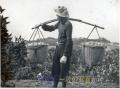 昭和30年ごろ　収穫したミカンはてんびん棒で担ぎ、運搬＝飽託郡河内町