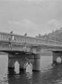 橋から飛び込む子どもたち＝水俣市の水俣川