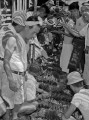 野菜価格が暴落、熊本青果のセリ＝熊本市新町