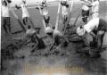 八代海のシャク掘り＝八代市。当時は干潟に５～６人の男たちが「シャクコネ棒