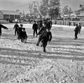 雪の始業式　校庭でソリ遊び＝熊本市の出水小学校