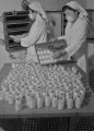 ワクチン生産　化学及血清療法研究所＝熊本市古京町