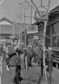 メジロの鳴き合わせ＝熊本市内