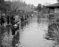 魚釣り　並んだ豆太公望＝熊本市の八景水谷公園