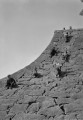 石垣を登る子どもたち＝熊本市の熊本城内