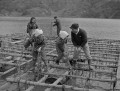 天草真珠　養殖貝の引き上げ＝牛深市二浦町