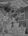 ミカン運搬のケーブル＝飽託郡河内芳野村