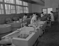 完成した砂取小学校の給食室内部＝熊本市