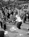 即興の踊りも飛び出し、にぎわう花見＝熊本市の水前寺公園