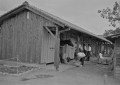 新しい厩舎で馬の世話をする生徒＝菊池市の菊池農業高校