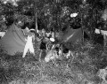 教育キャンプ　テント設営の子どもたち＝菊池郡合志村