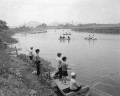 魚釣り　岸辺に並んだ豆太公望＝熊本市の江津湖