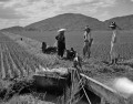 動力ポンプを使って水田に水を引く農家の人たち＝熊本市城山上代