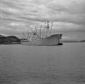 三角港に戦後入港した中で最大のノルウェー船・ポーサンガー号（