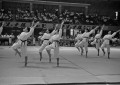 山鹿高校体操部員の柔道ダンスの演技＝熊本市水前寺の熊本市体育