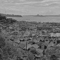 台風接近で港に避難した漁船群＝牛深市の牛深港