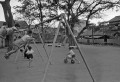 ブランコに乗る子どもたち＝熊本市の唐人町公園