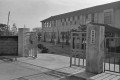 創立５０周年を迎えた県立盲学校の正門＝熊本市水前寺町