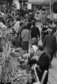 正月のしめ飾りを買い求める人たち＝熊本市手取本町