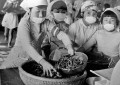 カニの花作り　児童が集めたカニの料理開始＝荒尾市の有明小学校