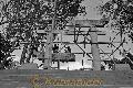 熊本城内に移転のため解体される加藤神社の鳥居＝熊本市京町