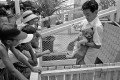 赤ちゃん動物園　ライオンにミルクをやる飼育係＝熊本市手取本町