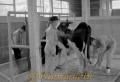 乳牛の世話をする矢部農林高校馬見原分校の生徒たち＝阿蘇郡蘇陽町