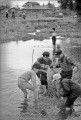 水辺の子どもたち　網で魚すくい＝熊本市の江津湖