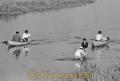 江津湖のボート遊び　子どもたちは魚捕り＝熊本市